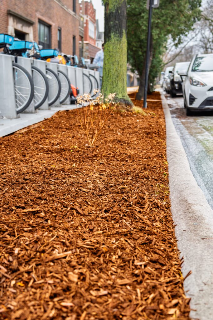 Mulch around flowers in chicago