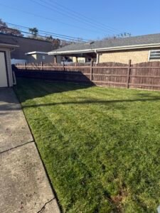 Lawn mowing in lagrange
